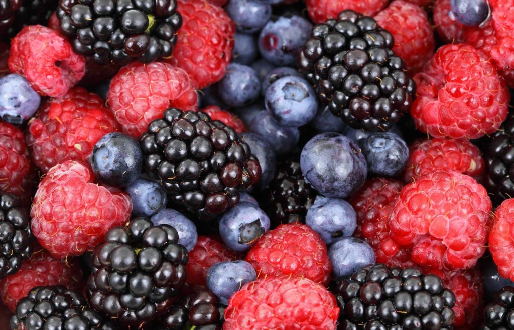 Pellentesque – dignissim dui ac dolor convallis