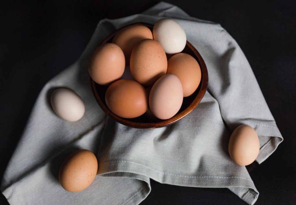 Nulla facilisi tristique